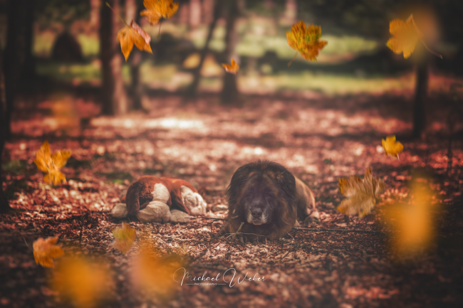Abtsgmünd Abtsgmuend Aalen Ellwangen Neubronn Heidenheim Schwäbisch Gmünd Wasseralfingen Nördlingen Bopfingen Hüttlingen Hohenstadt Rosenberg Neuler Adelmannsfelden Unterkochen Oberkochen Königsbronn