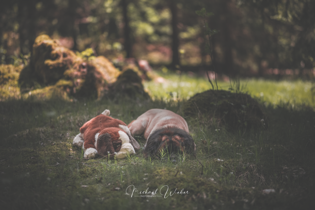 Abtsgmünd Abtsgmuend Aalen Ellwangen Neubronn Heidenheim Schwäbisch Gmünd Wasseralfingen Nördlingen Bopfingen Hüttlingen Hohenstadt Rosenberg Neuler Adelmannsfelden Unterkochen Oberkochen Königsbronn