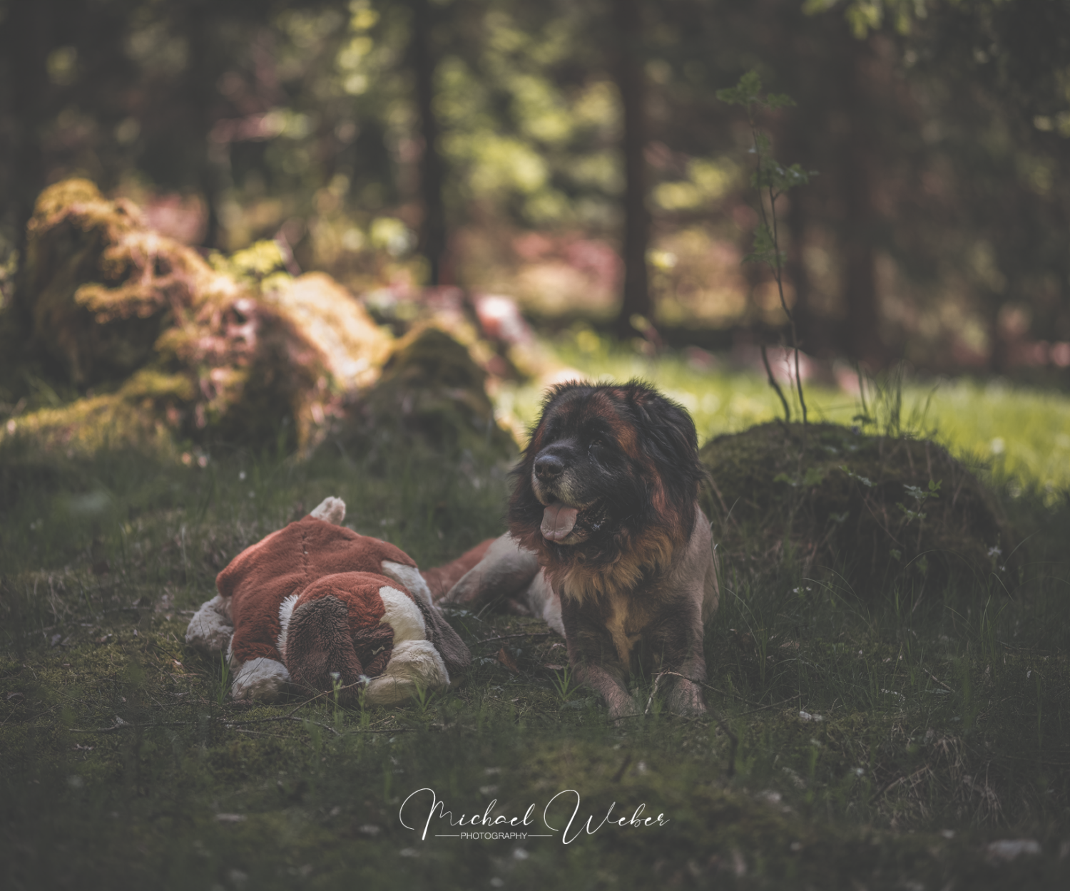 Abtsgmünd Abtsgmuend Aalen Ellwangen Neubronn Heidenheim Schwäbisch Gmünd Wasseralfingen Nördlingen Bopfingen Hüttlingen Hohenstadt Rosenberg Neuler Adelmannsfelden Unterkochen Oberkochen Königsbronn